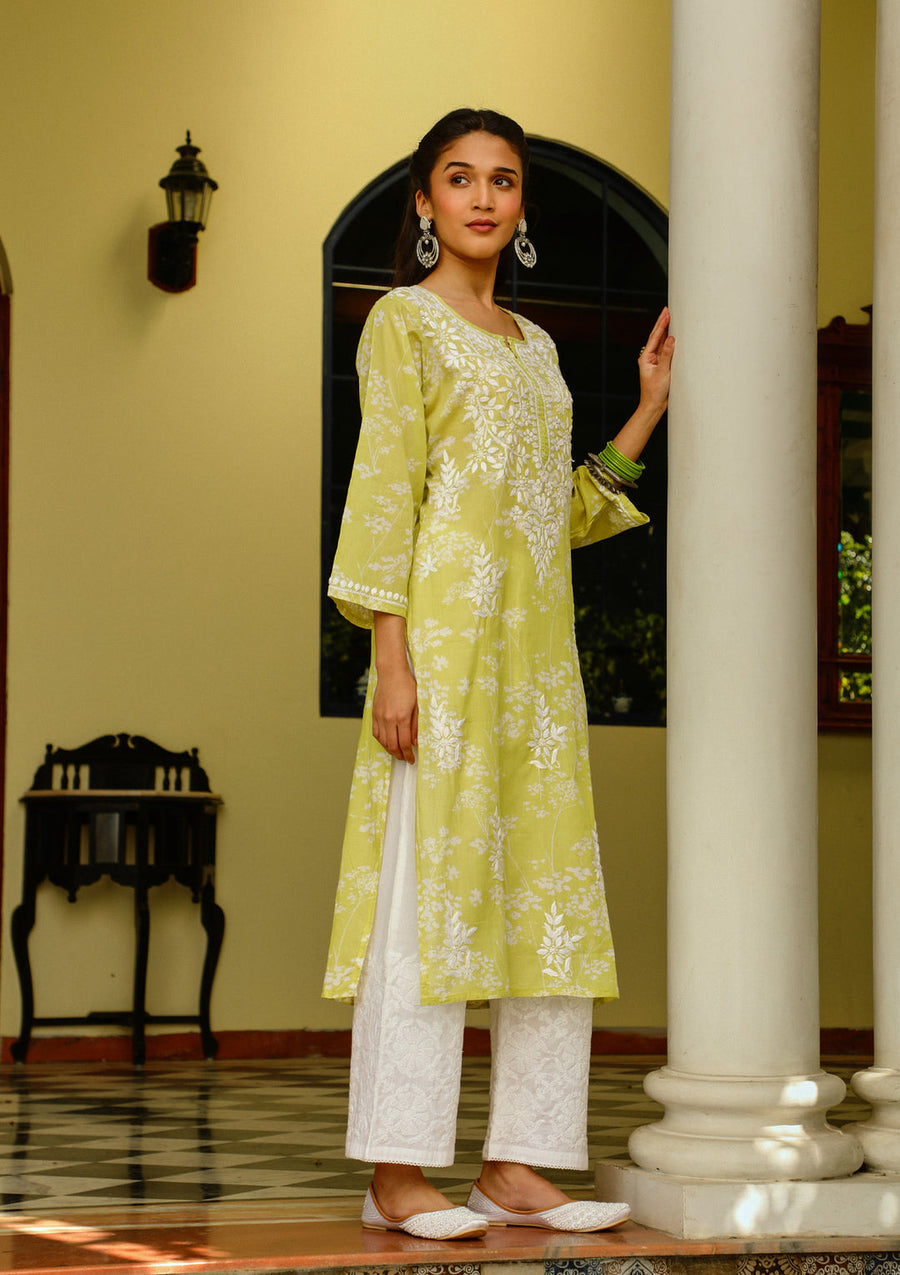 Zainab Chikankari Mulmul Straight Kurti